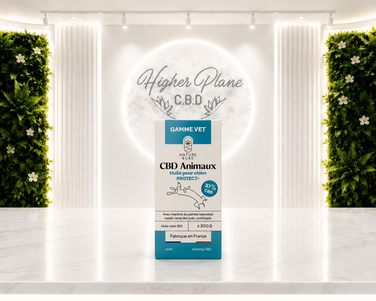 Huile CBD 10% PROTECT CHIENS