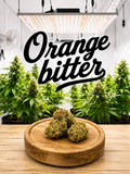 Orange Bitter