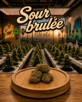 Sour Brulée