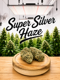 Super Silver Haze