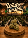 White Russian CBG