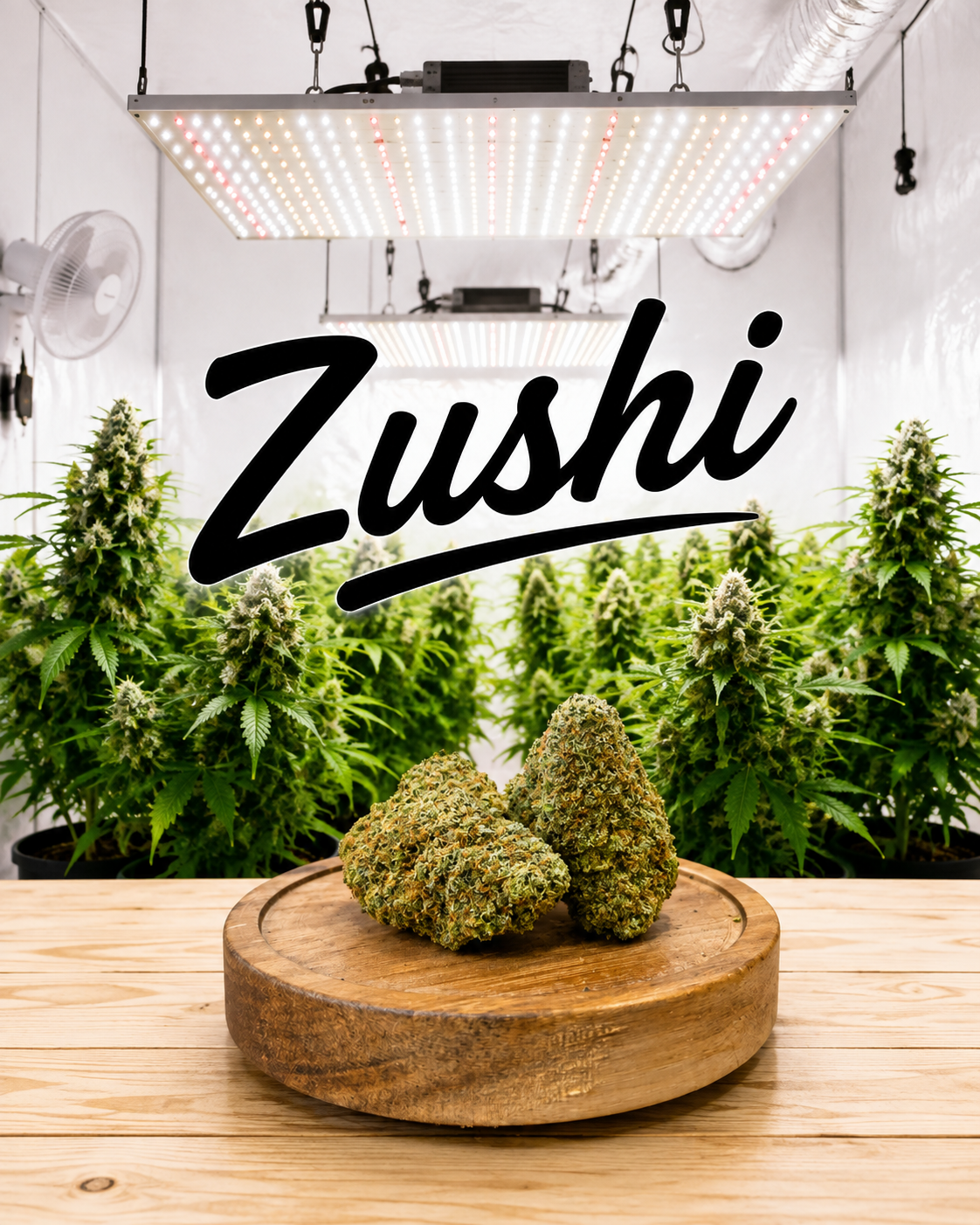 Zushi